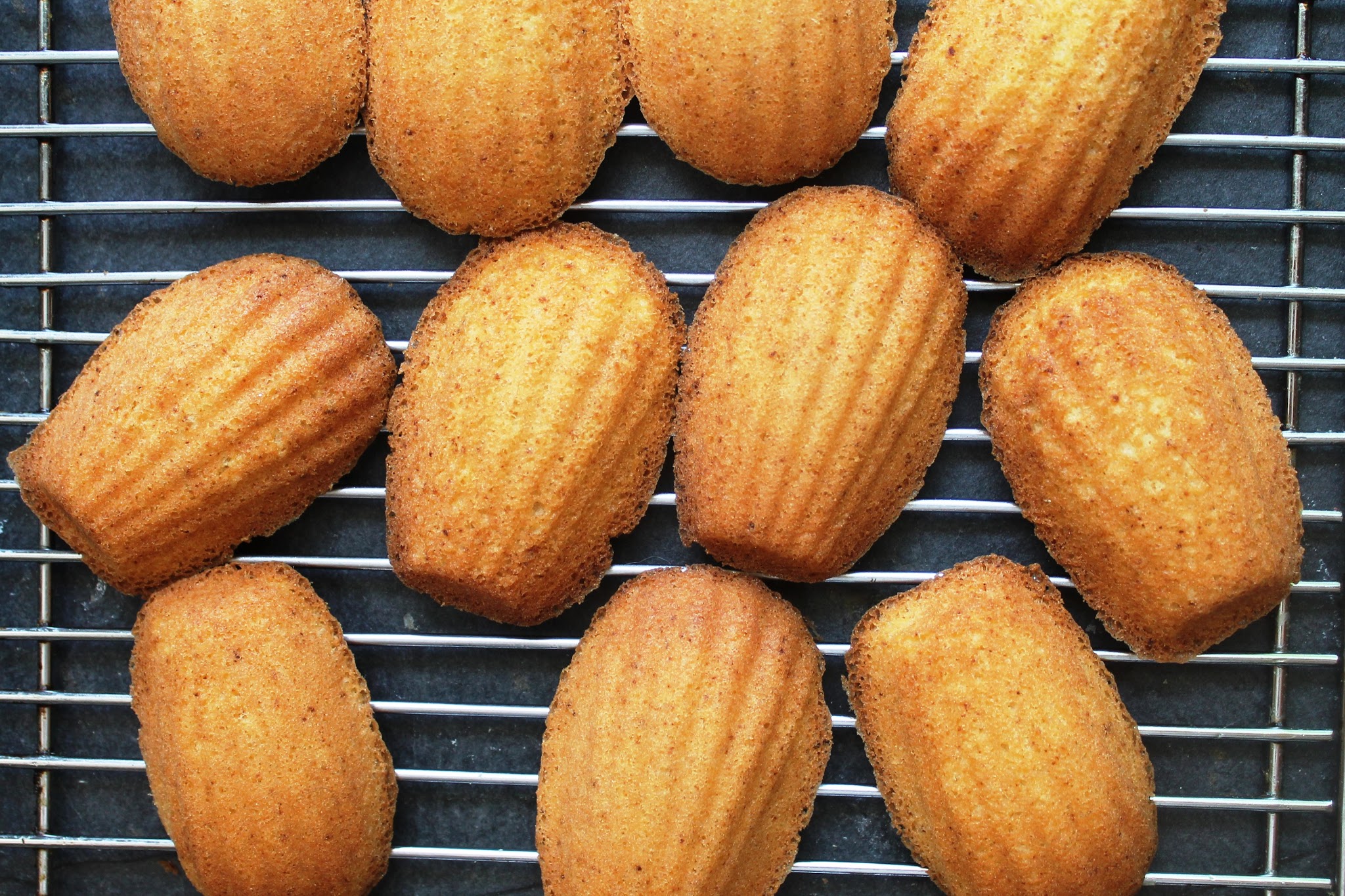 Brown Butter Madeleines (Gluten Free)